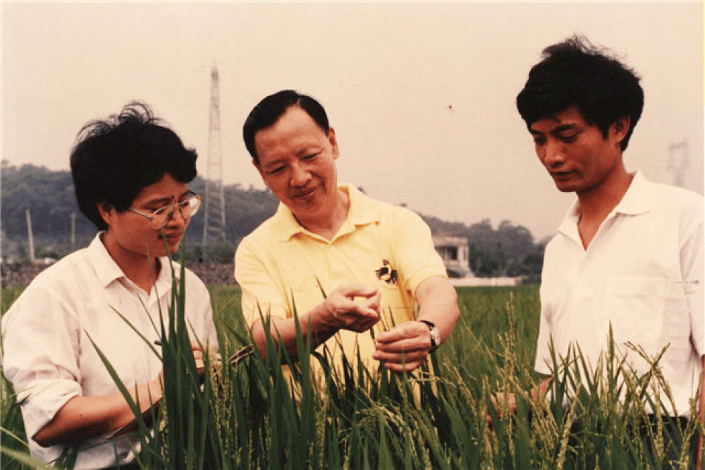 卢永根的家图片