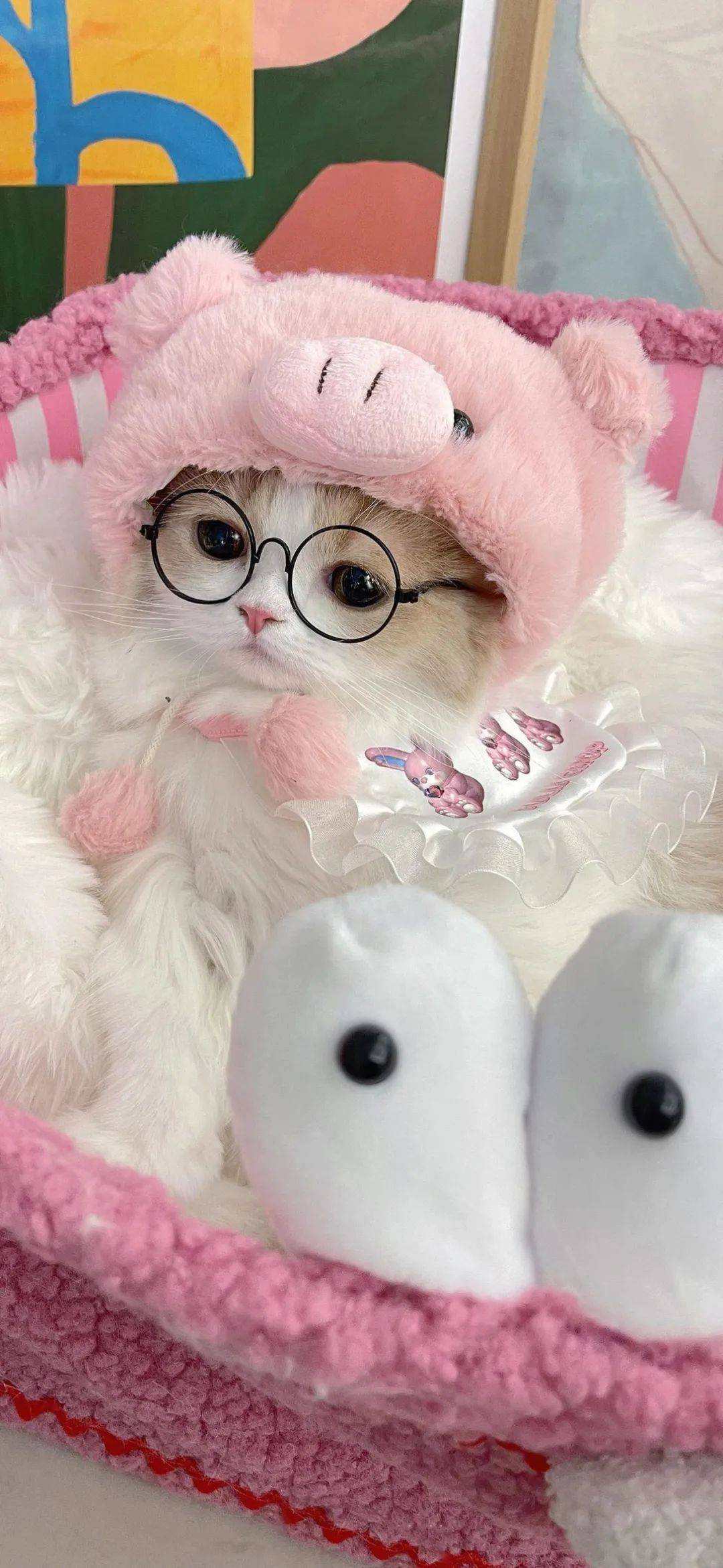 壁纸丨干净简约的ins风壁纸