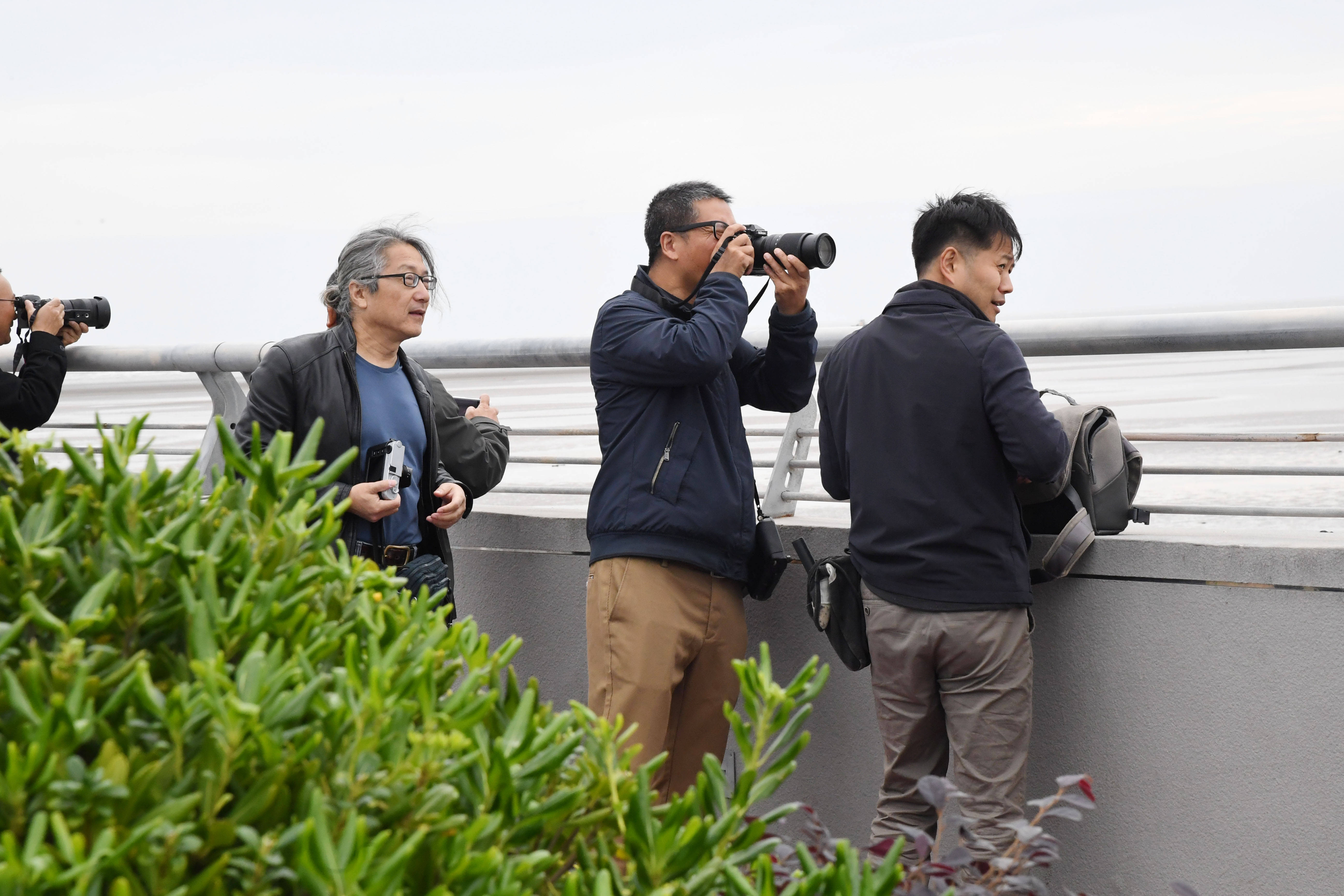 “日出江海 梦启东方”全国主流媒体聚焦启东“蝶变”_江苏省_经济_公铁