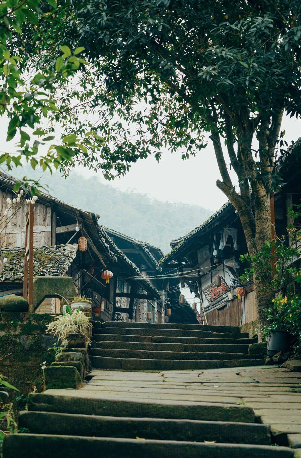 出游大同古镇慢调生活的诗意归处