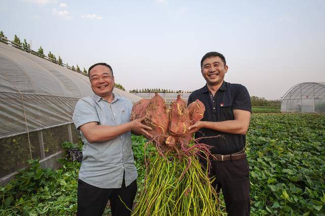河南舞阳:刘庄村5任驻村第一书记接续奋战谋发展一线观察