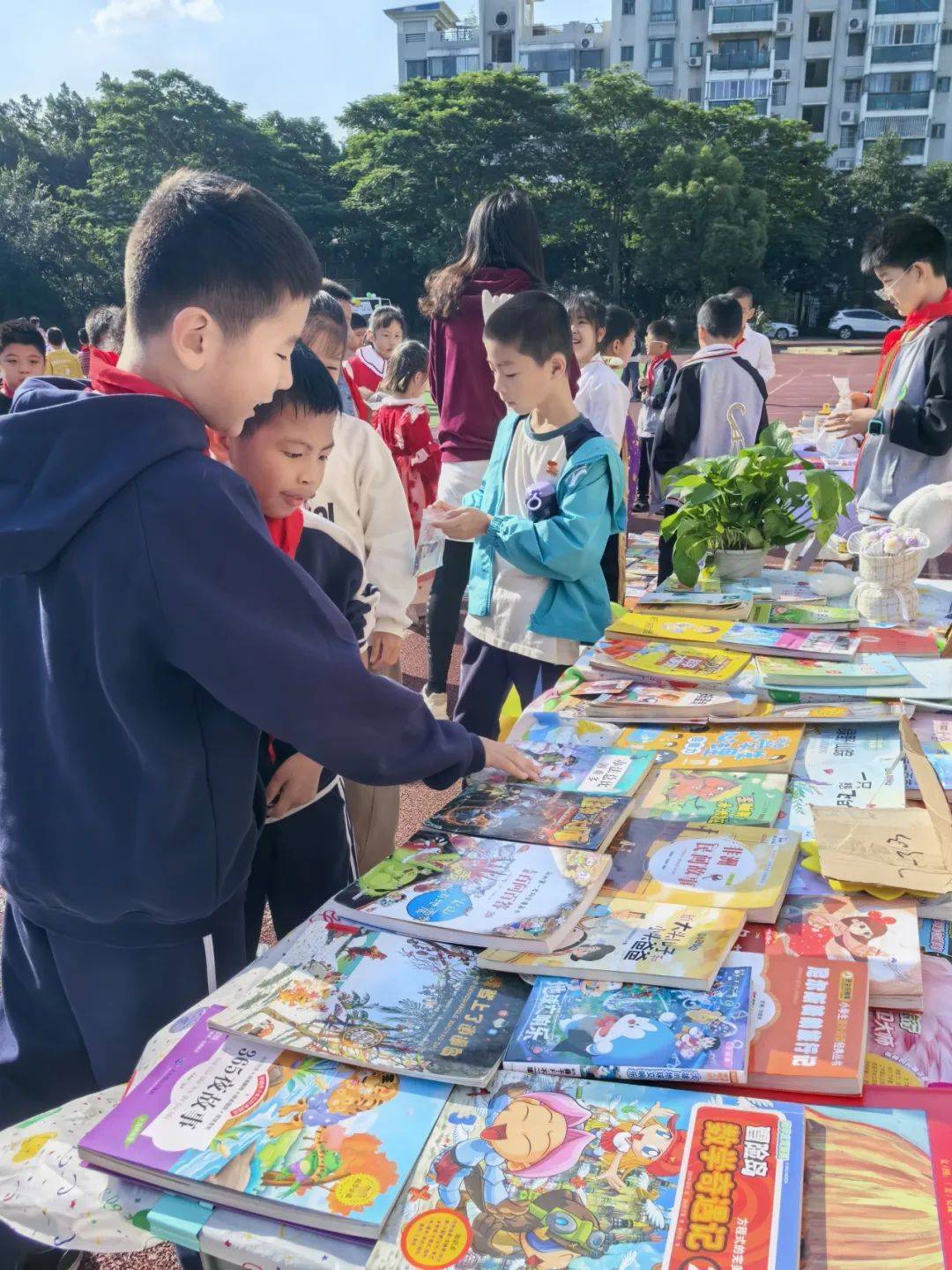 鼓山苑小学划片图片