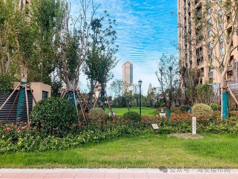 前不久,奥体新城99首府二期部分楼栋迎