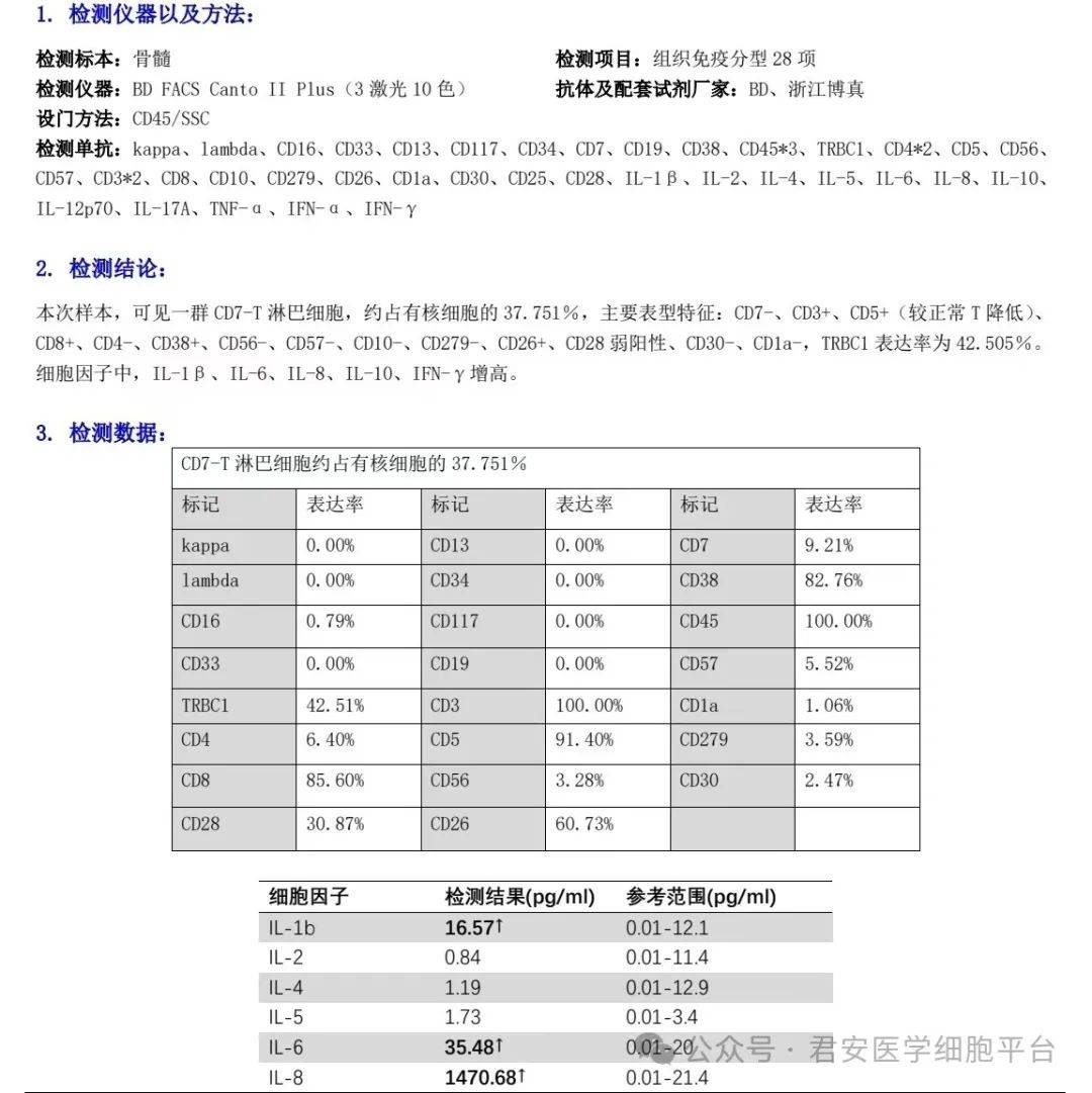 淋巴细胞升高图片