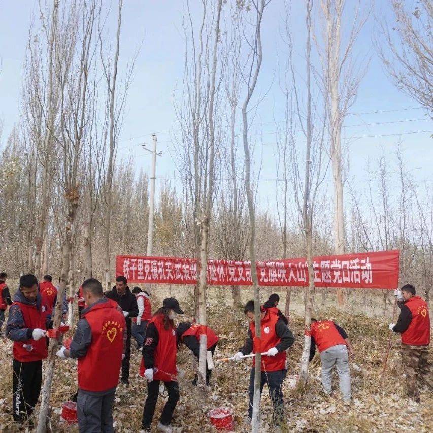 铁干里克镇“刷树护林 美化环境”志愿服务活动