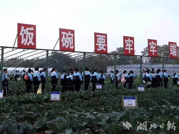 邓子新院士科普大讲堂开讲：无土栽培新技术、十字花科蔬菜新品种m6米乐平台(图4)