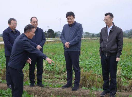 高世文到安义县调研