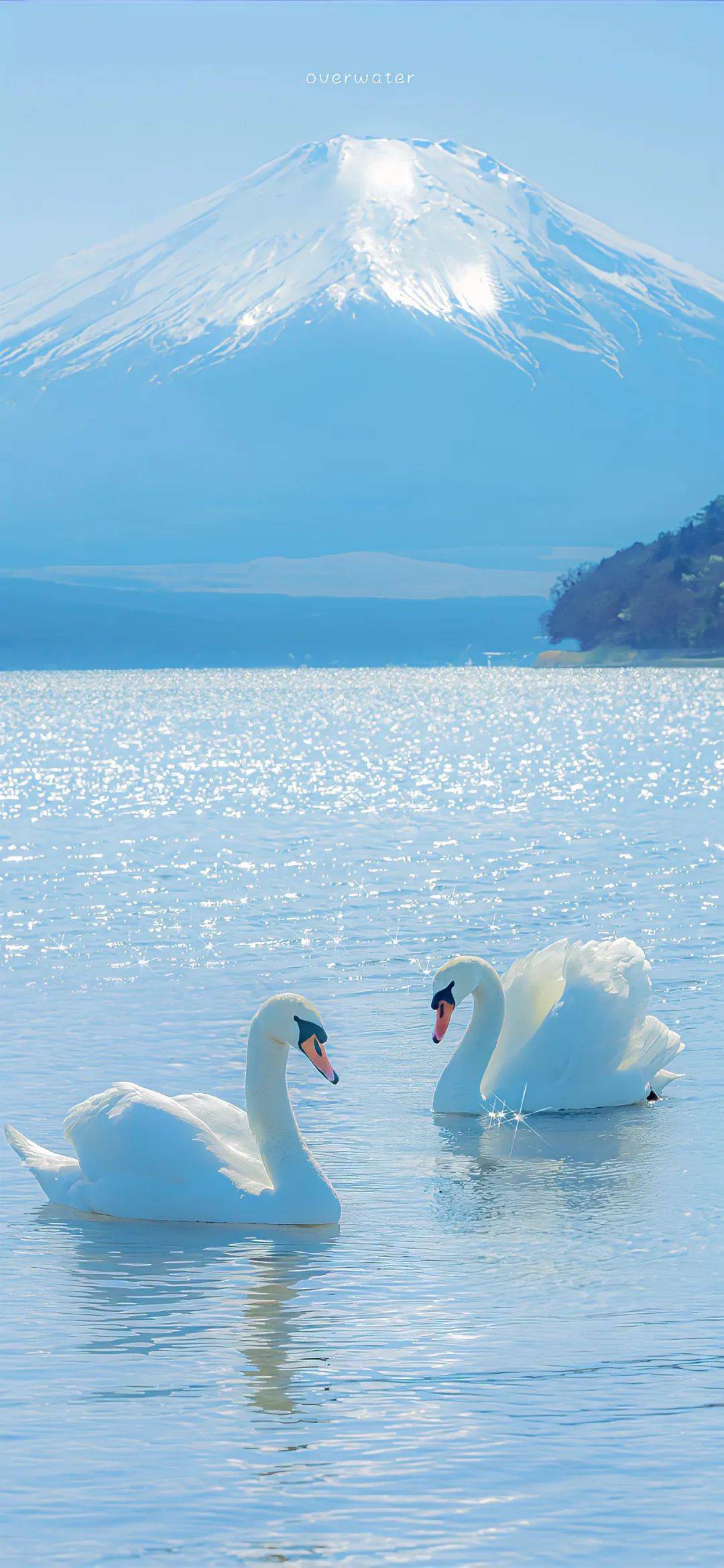 手机壁纸|超爱的精选壁纸