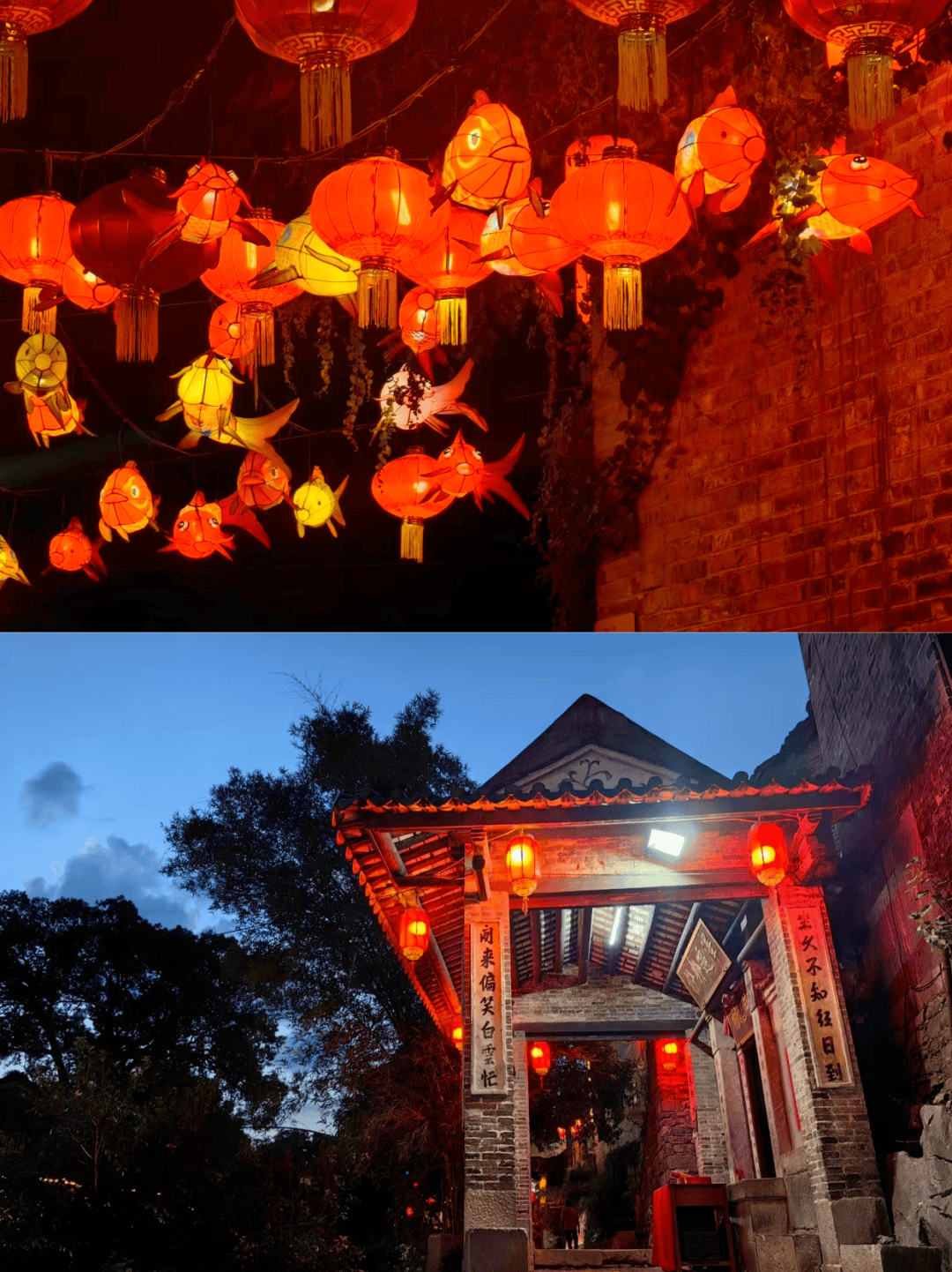 灯光与月光交织,仿佛水中的鱼儿跃上了岸,古镇的盏盏鱼灯被点亮,夜幕