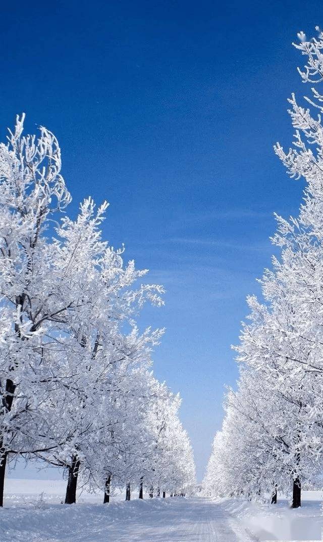 凄美图片雪景图片