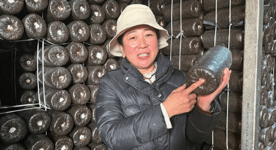春阳镇,天桥岭镇等地针对脱贫户,监测对象发放鸡雏,鹅雏,大力发展庭院