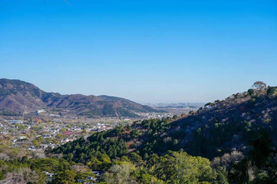 带您走过香山公园里的二十四节气 | 小雪