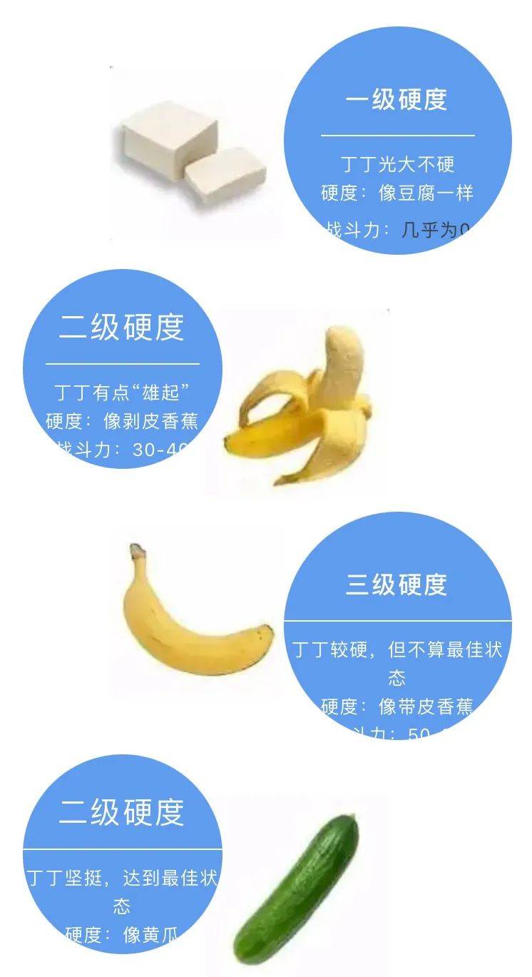 丁丁勃起硬度分级标准在这里