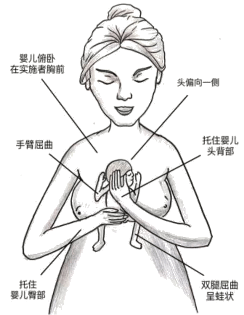 袋鼠式护理流程步骤图片