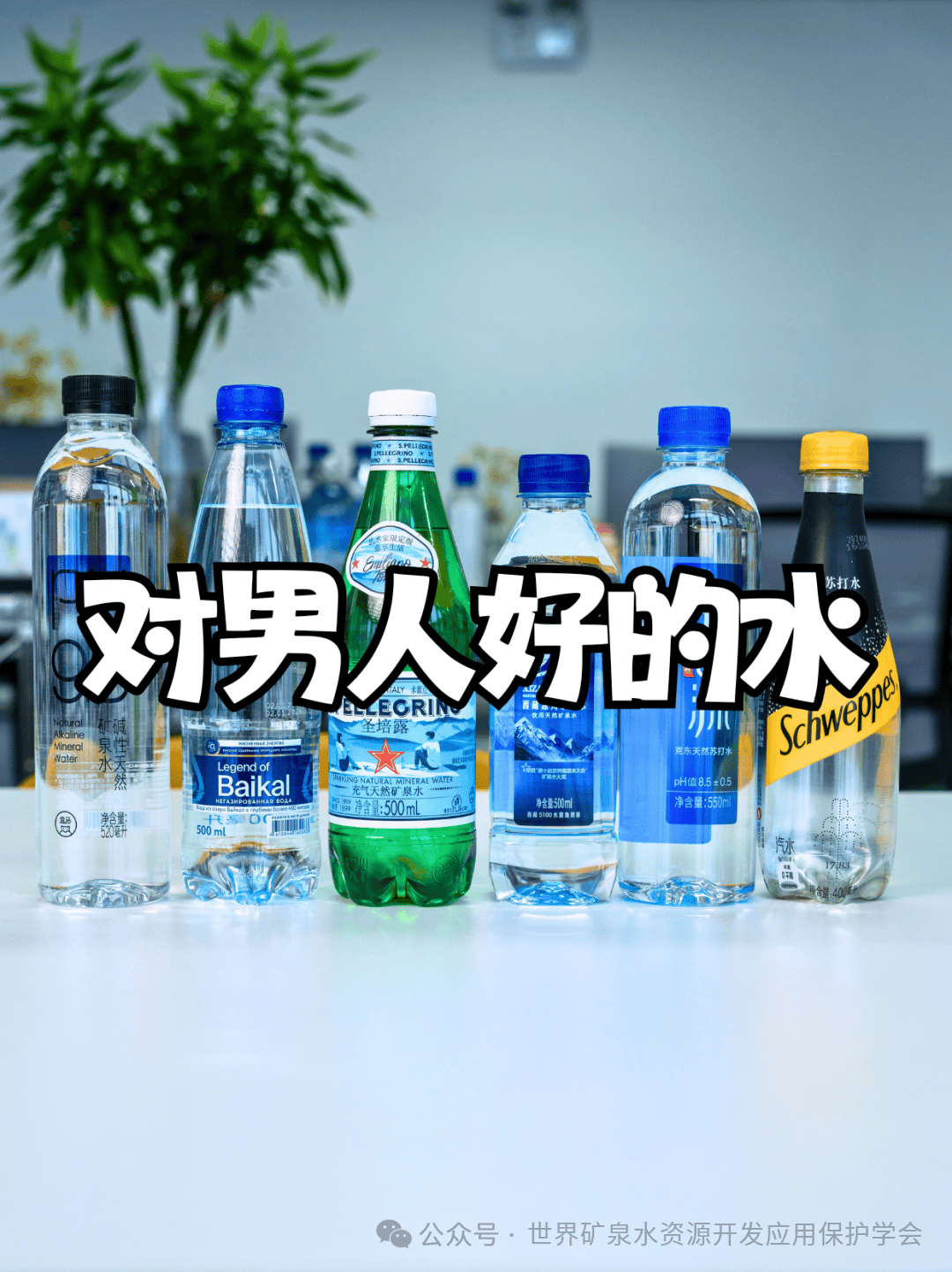 世界饮用水排名前十名