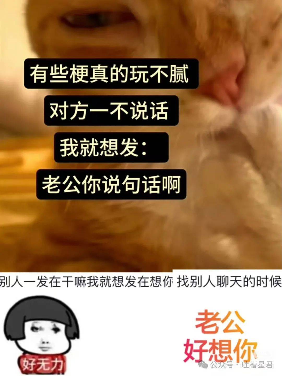"给暗恋对象转账后反悔了?"哈哈哈网友们太刻薄了!