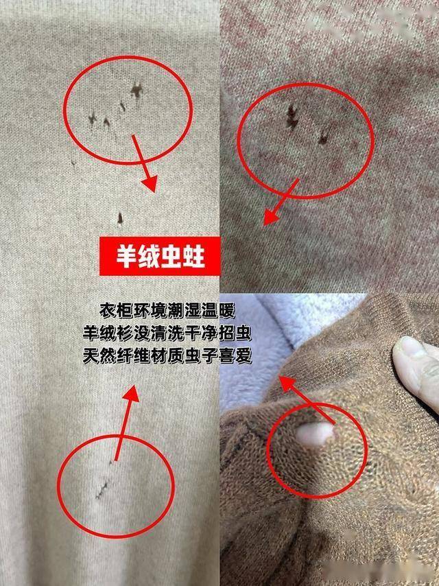 羽绒服长虫子图片大全图片