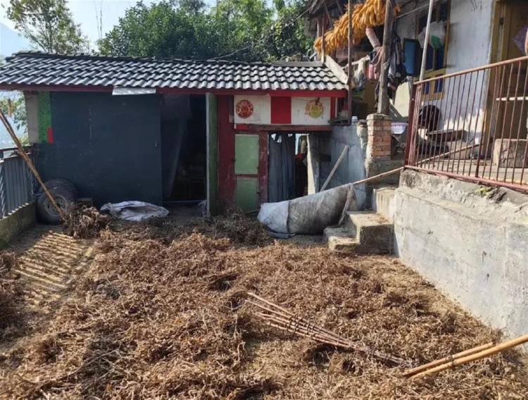 遭黑熊袭击的夫妻均无生命危险：保险公司会赔付，打死的黑熊将用于科研