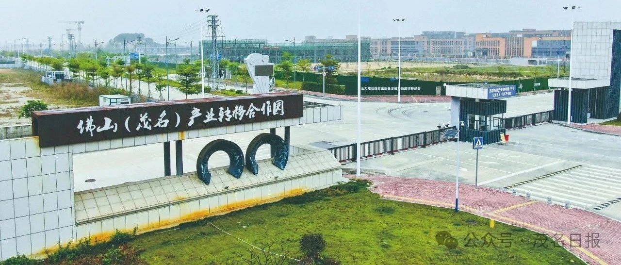 向“新”而为 向“美”而行 向“优”而进!茂南区多点发力开新局_发展_产业_消费