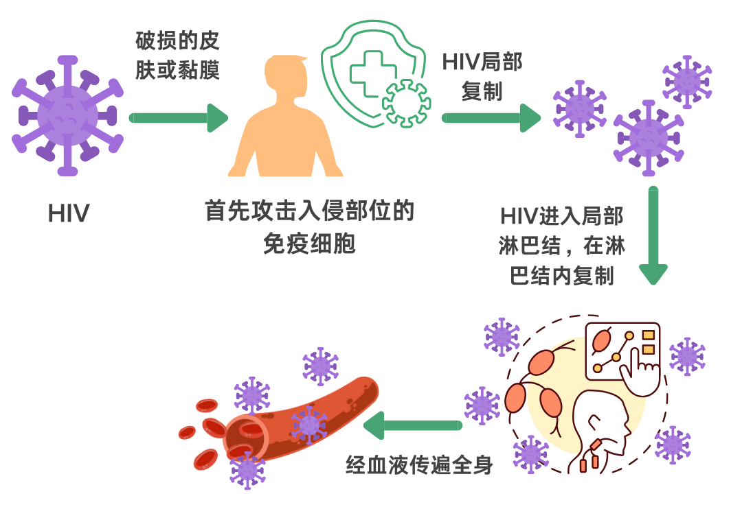 健康科普 HIV暴露后预米博体育登录防（PEP）(图5)