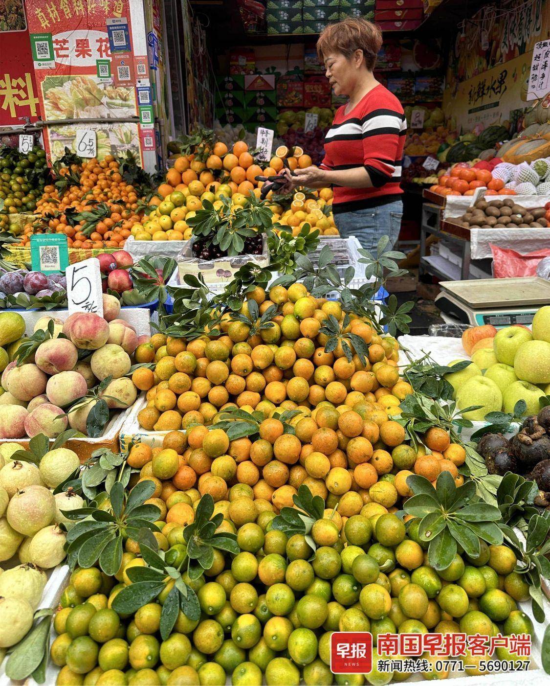 金”贵登场：水果“爱马仕”脆蜜金橘来袭_搜狐网