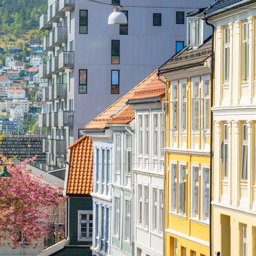 图片[8]-一路向北，载你看遍挪威西海岸风光 -华闻时空