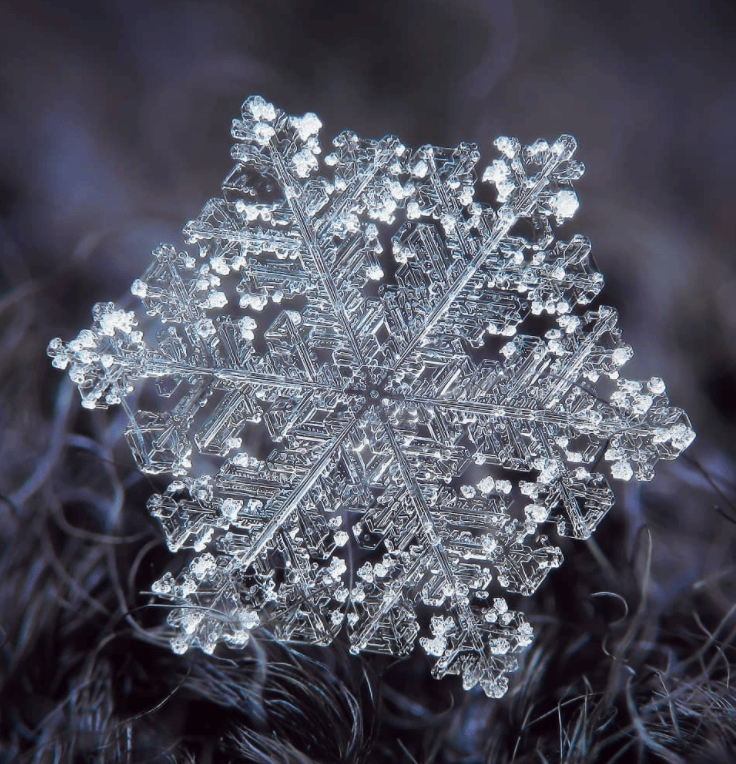 雪花放大一亿倍图片