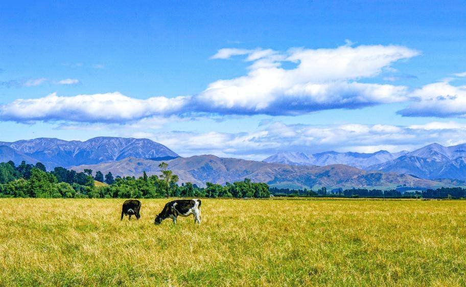 图片[12]-旅行上瘾的12种“临床表现”，你中了几条？ -华闻时空