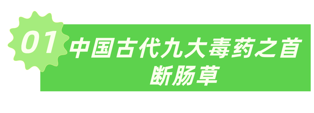 【健康教育】提醒！这些“药材”有剧毒，千万别拿去煲汤！