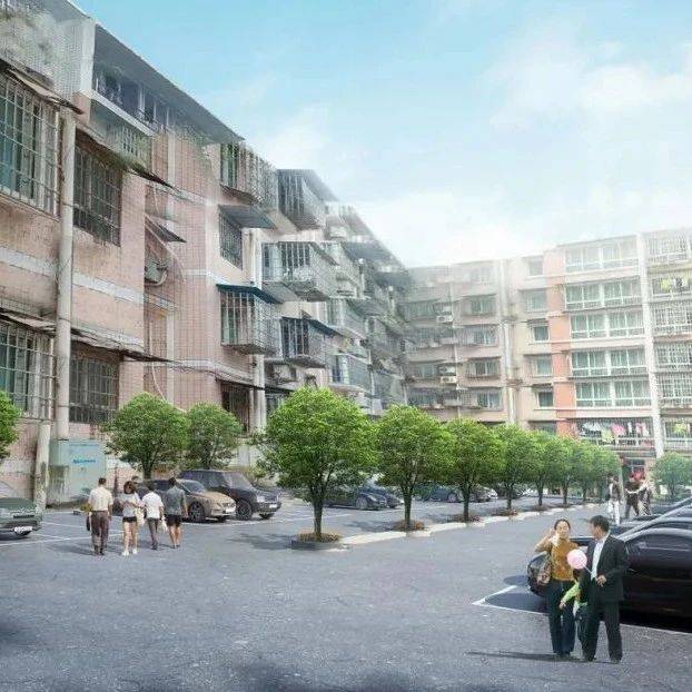 惠及15个小区，东兴区老旧小区改造进展如何？_居民_环境_花苑