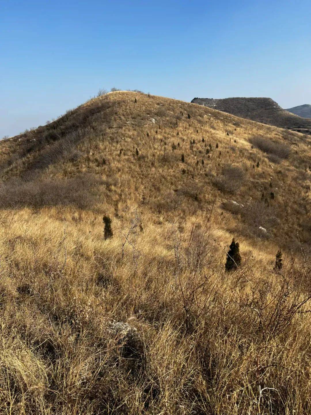 89元青州大寨顶滴水崖高山芦苇荡空中草原荒野轻徒步