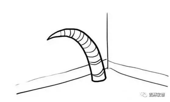 看图猜东北话,迄今为止没有一个全猜对的!不服来战!