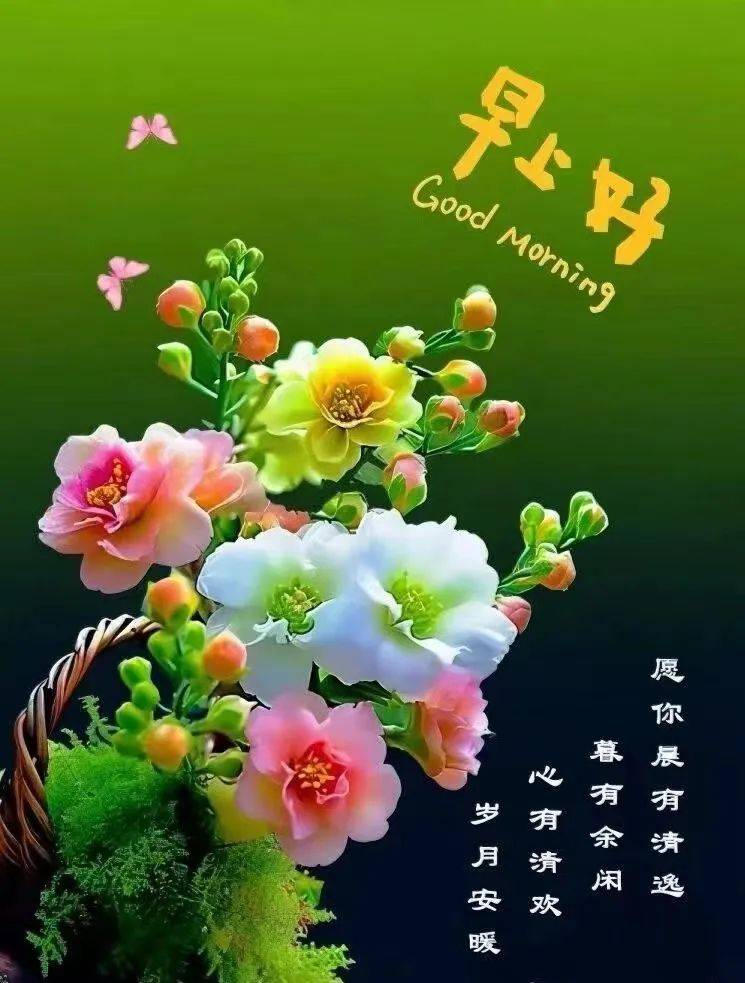 今日最新早上好表情图片大全,美在心情,乐在生活