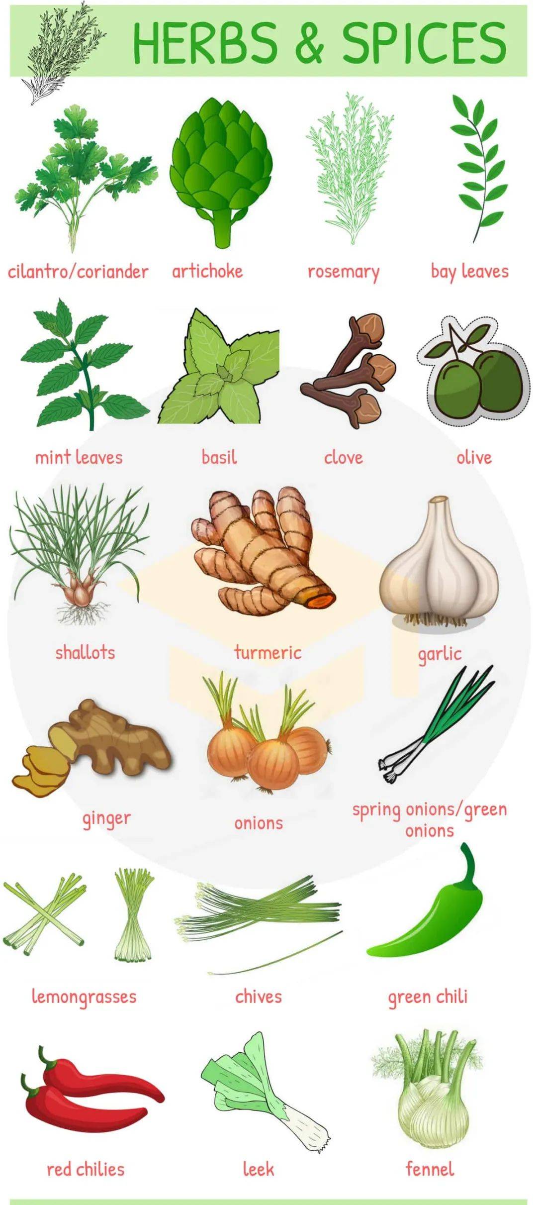 图解英文海报02:fruits and vegetables_pepper_辣椒_相关