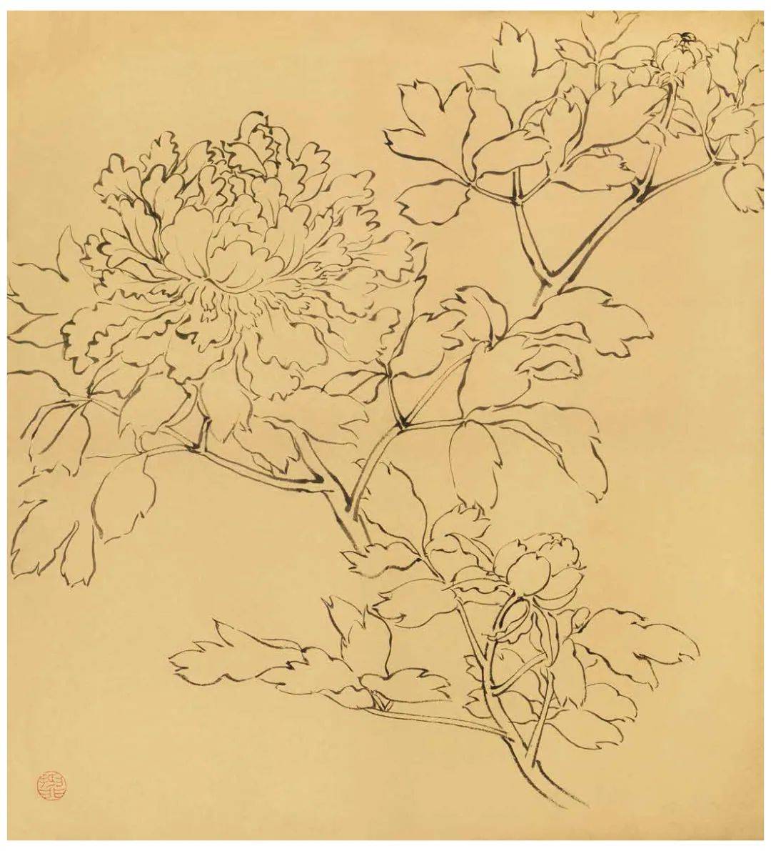 陆抑非先生说白描