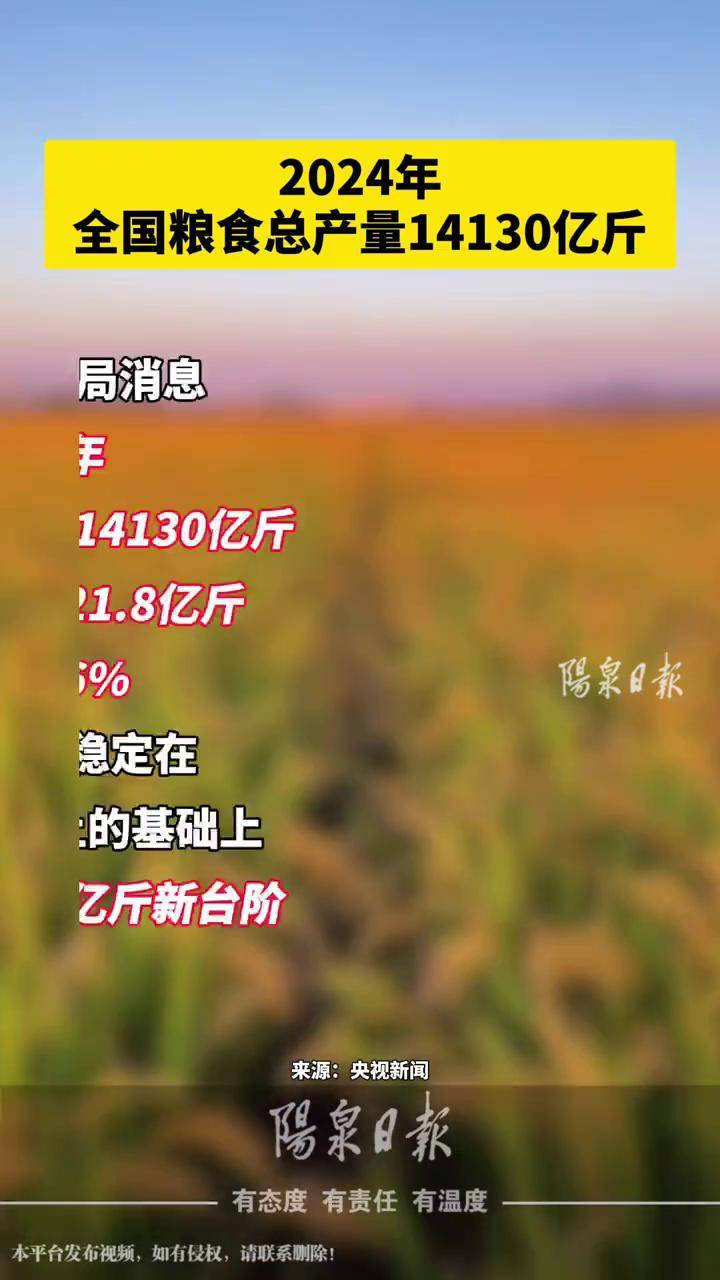 2024年全国粮食总产量14130亿斤