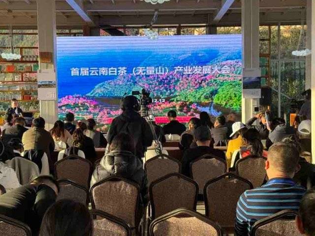 华体会官网首届云南白茶（无量山）产业发展大会在大理南涧举行(图1)