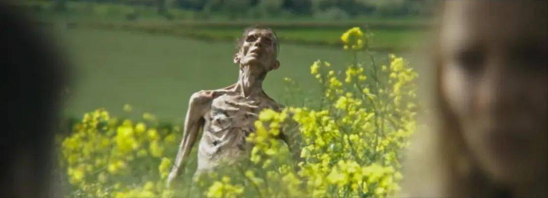 免费b站看大片真人电视剧免费?2025值得期待的40部海外大片