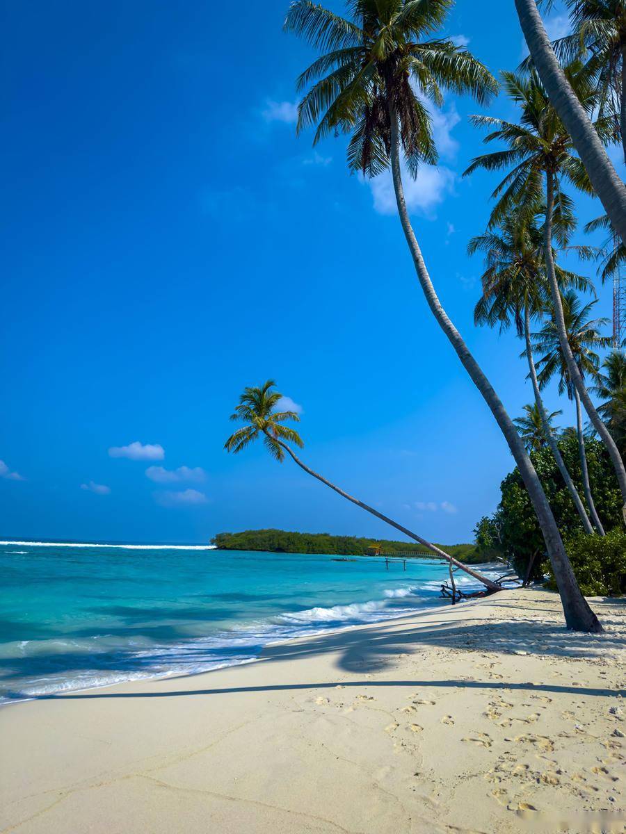 美国夏威夷旅游当地的旅行社:精英的假期旅程无忧无虑