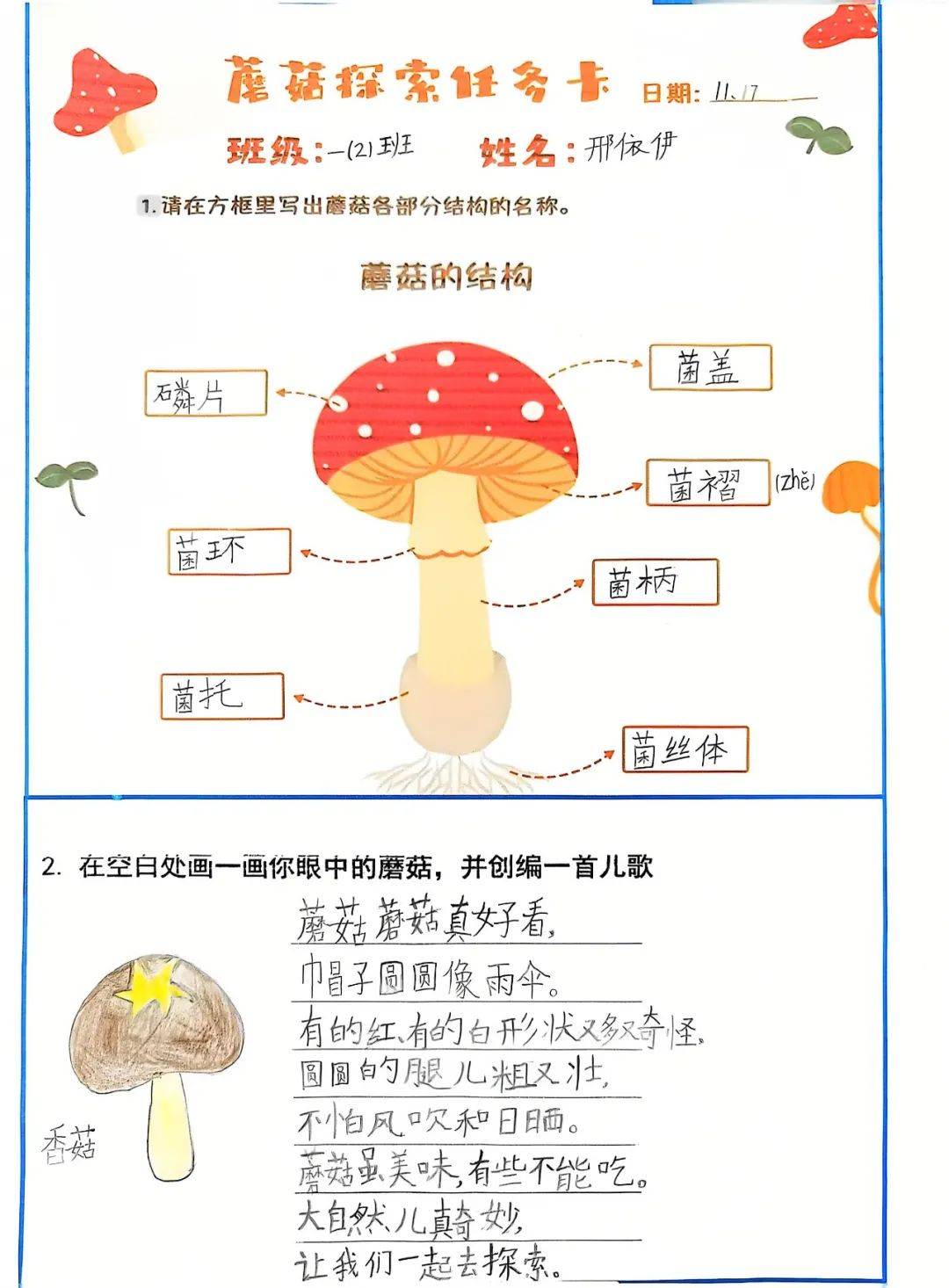 从出芽到生长速度的变化,再到形态的不断演变,孩子们都一一记录在观察