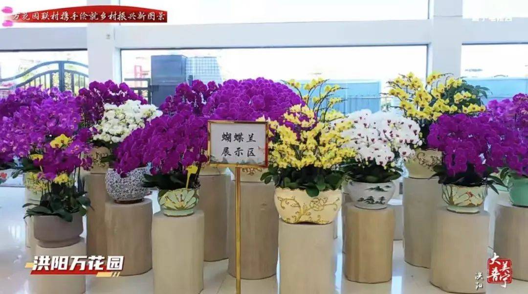 6686体育平台普宁这里的25万亩的万花园究竟有多美…(图2)