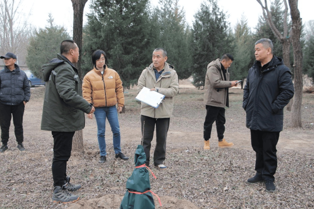 北京市园林绿化局开展平原开云电竞官网生态林专项检查 推动生态建设高质量发展(图2)