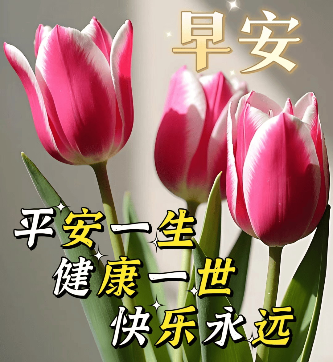 老年人的早安问候(老年人的早安问候图片)