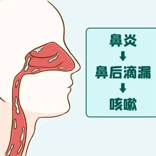 耳鼻喉医话 | 睡前、晨起咳嗽,可能不是喉咙问题,而是鼻病!_综合征_咽喉_疾病