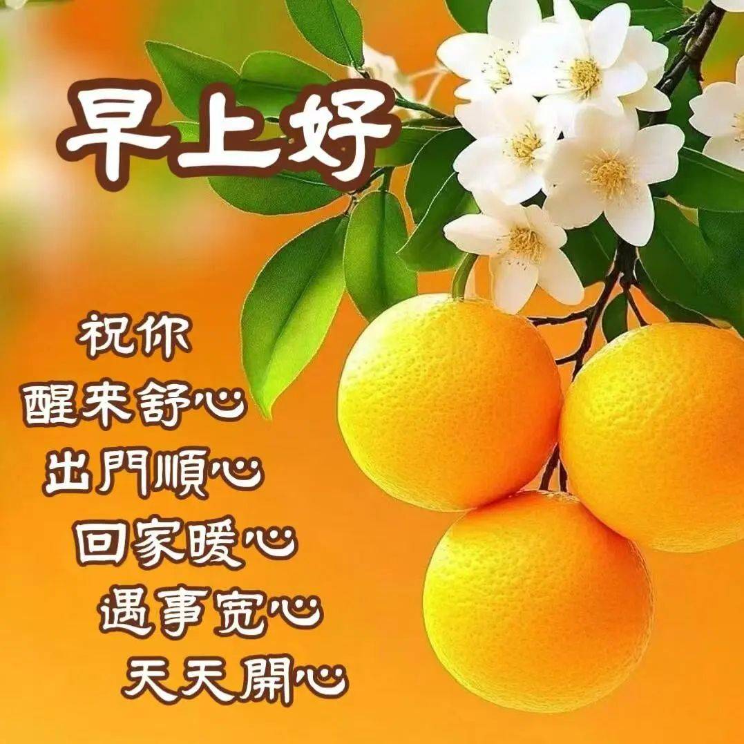 老年朋友问候带字图片图片