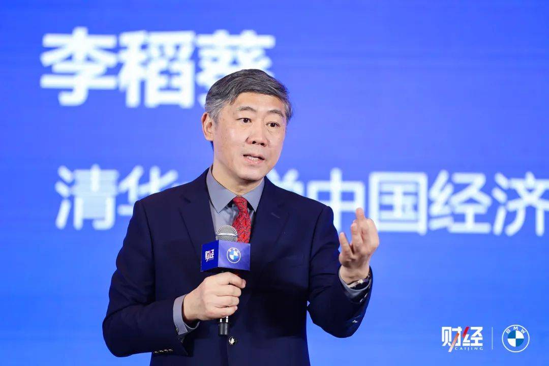 李稻葵：2025年是经济体感转暖的一年|《财经》年度对话2024