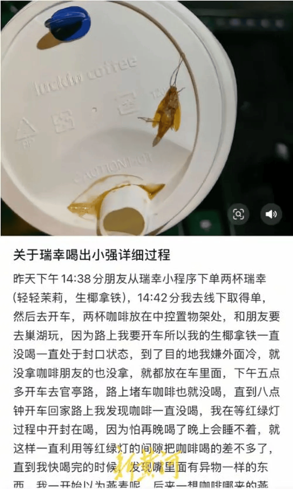 瑞幸回应产品喝出蟑螂事件：门店虫害检查和消杀记录完整无异常，未发现虫害情况