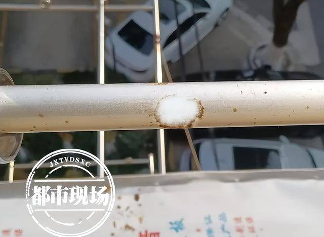 上海一小区有人高空抛大便？住户苦不堪言 直呼：“我都不敢开窗！”