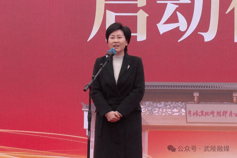 武陵区委常委,宣传部部长宋雨泓,副区长吴金参加.设计图