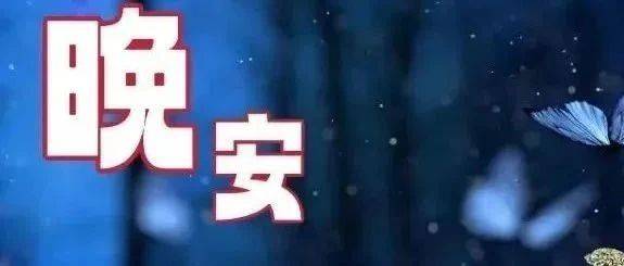 8张最新睡前群发晚安问候动画表情 晚安问候语图片带字温馨_祝福_月光_梦乡